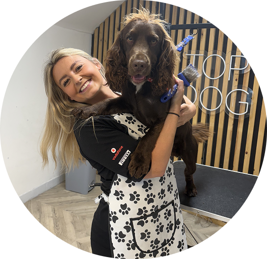 Qualified dog groomer Alicia at Top Dog Grooming in Criccieth,Gwynedd