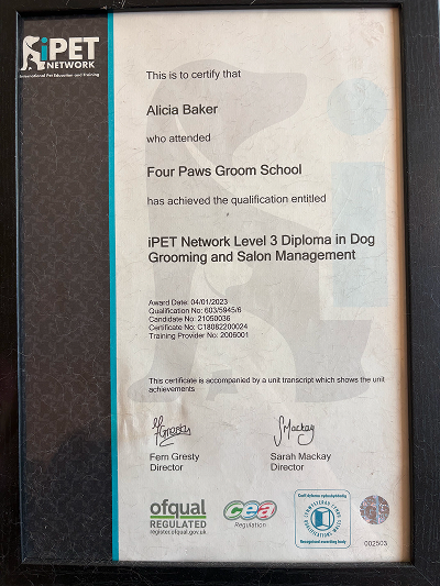 Top Dog Grooming's Official Level 3 Diploma Qualification Diploma in Dog Grooming